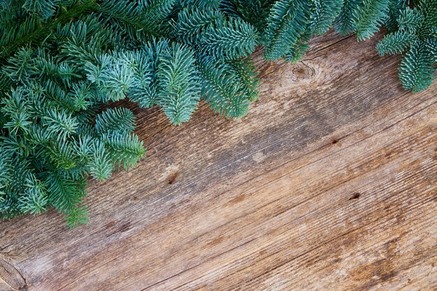 Ramas de los árboles de hoja perenne fresca de Navidad