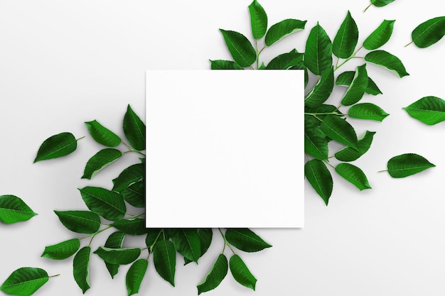 Ramas de árboles con hojas verdes y hoja de papel acuarela cuadrada blanca vacía sobre un fondo blanco. Tablero publicitario, maqueta de afiches para tu diseño. Plano, vista superior, espacio de copia