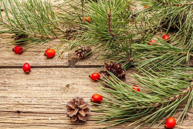 Ramas de los árboles de Navidad con bayas y piñas