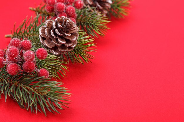 Ramas de los árboles de Navidad con conos sobre un fondo rojo.