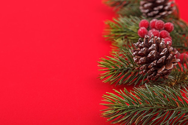 Ramas de los árboles de Navidad con conos sobre un fondo rojo.