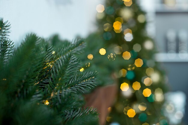 Ramas de los árboles de Navidad con luces borrosas