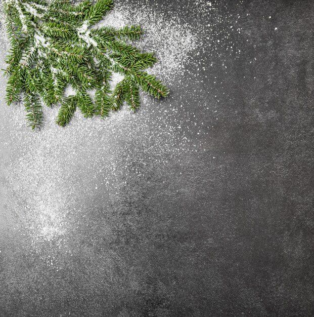 Ramas de los árboles de Navidad con nieve en backgrond oscuro. Vacaciones de invierno