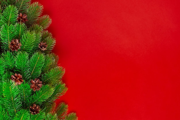 Ramas de los árboles de Navidad con piñas