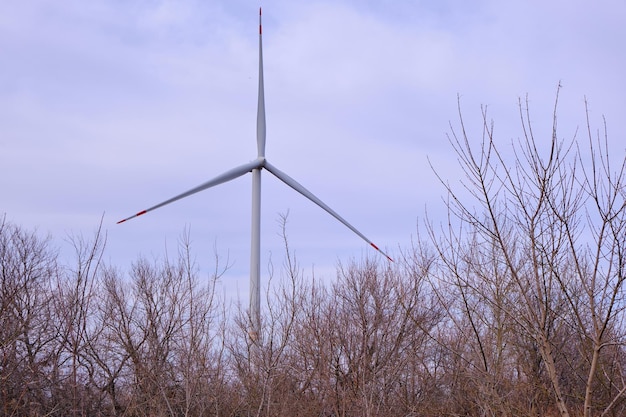 Ramas de los árboles de otoño contra el fondo de una hoja de turbina eólica y un cielo nublado