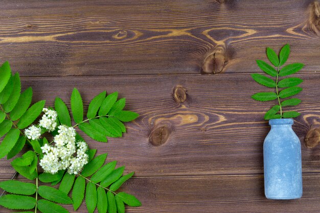 Ramas de árboles de primavera con flores y una pequeña botella en la mesa