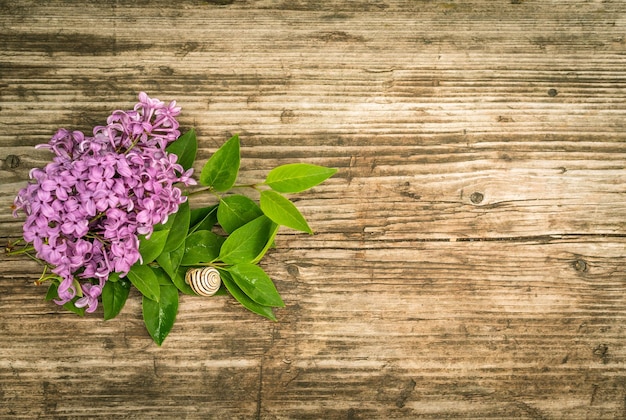 Foto ramas de color lila púrpura con hojas verdes y un caracol sobre fondo de madera con textura plantilla floral natural vista superior del espacio de copia plana