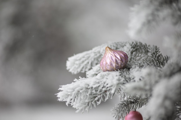 Ramas cubiertas de nieve con juguetes de árbol de Navidad en la nieve.