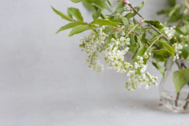 Ramas florecientes en un florero