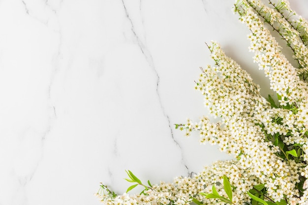 Ramas de flores blancas sobre fondo de mármol blanco vista superior con espacio de copia plano