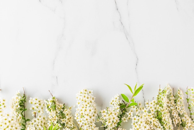 Ramas de flores blancas sobre fondo de mármol blanco vista superior con espacio de copia plano