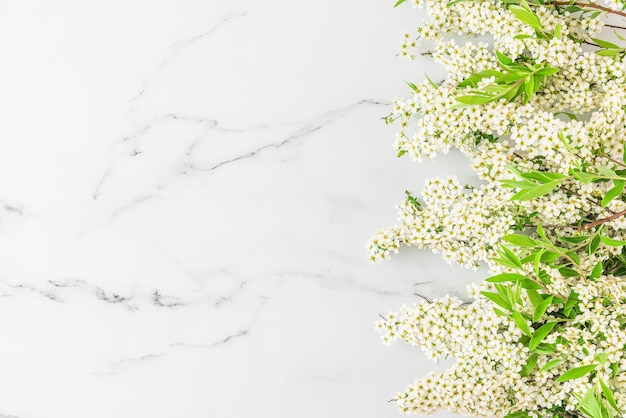 Foto ramas de flores blancas sobre fondo de mármol blanco vista superior con espacio de copia plano