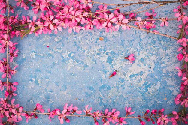 Ramas con flores de primavera, flores de color rosa sobre un fondo azul.