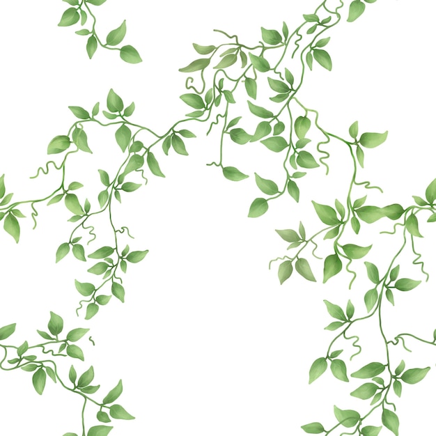Ramas de hiedra con hojas verdes se arrastran en un patrón sin costuras Ilustración digital de acuarela Planta delicada de escalada con tallo delgado aislada sobre fondo blanco Ilustración botánica