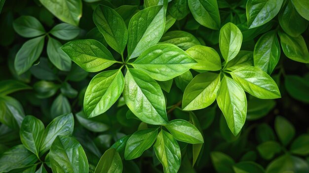Ramas de hojas verdes IA generativa