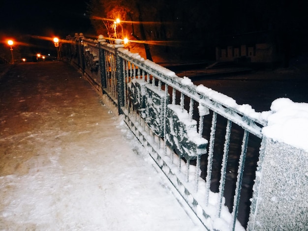 Ramas y linterna nevadas en la noche