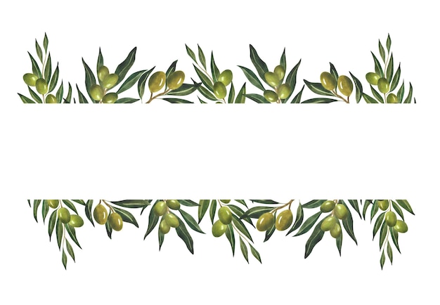 Ramas de olivo verdes borde acuarela marco floral papel de envoltura de aceite de oliva diseño del logotipo tarjeta postal