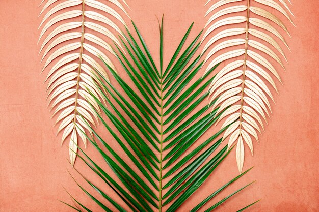 Foto ramas de palmera dorada y verde sobre rosa.