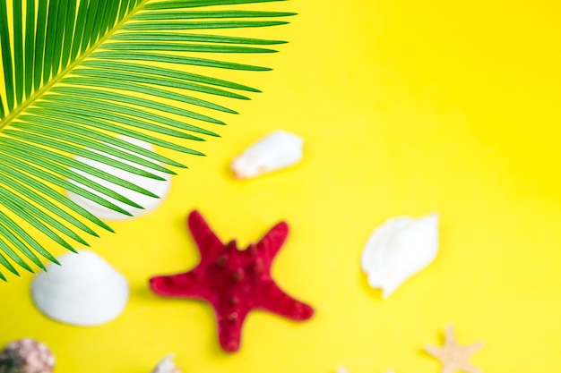 Ramas de palmeras de fondo tropical con estrellas de mar borrosas sobre fondo amarillo