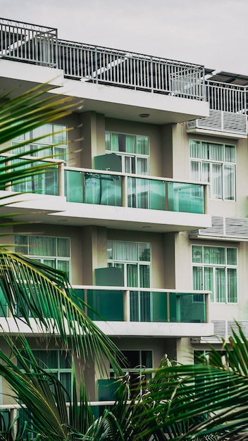 Ramas de palmeras, ventanas a nivel, edificio de varios pisos, balcón de vidrio verde moderno, fondo de arquitectura