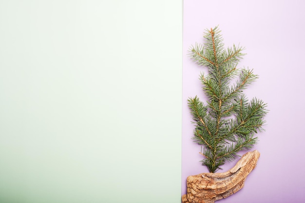 Ramas de pino de navidad con decoración roja sobre fondo verde oliva concepto de navidad