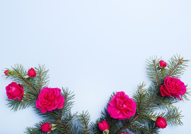 Ramas de pino de navidad y fondo de rosas rojas