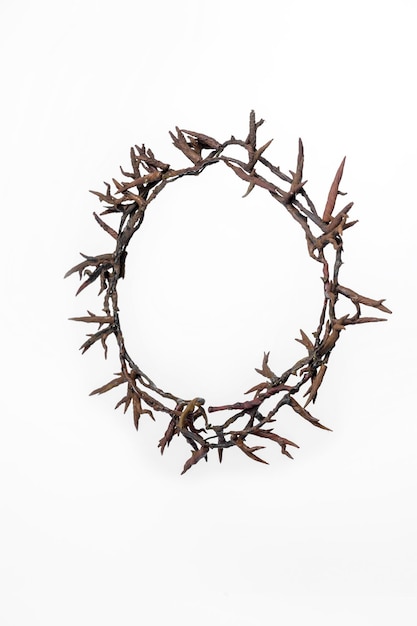 Ramas y ramas de las espinas de la corona de Jesucristo aisladas sobre un fondo blanco Símbolo de la fe en Dios Cristianismo Fiesta de Pascua Viernes Santo