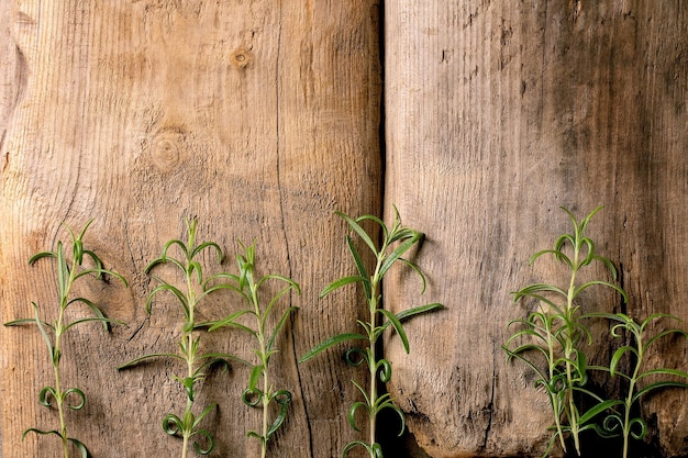 Ramas de romero de jardinería orgánica fresca en madera