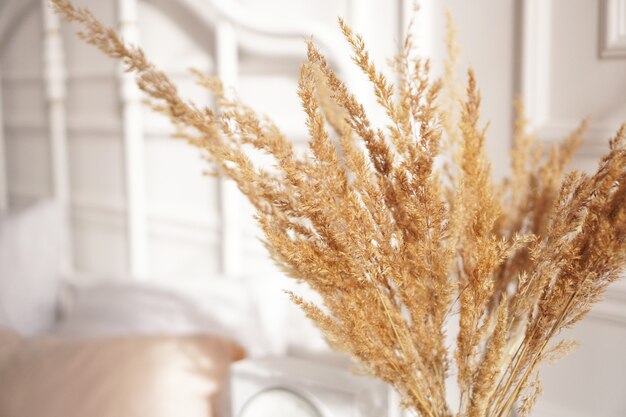 Ramas secas de juncos en el interior decoración de la habitación de estilo escandinavo