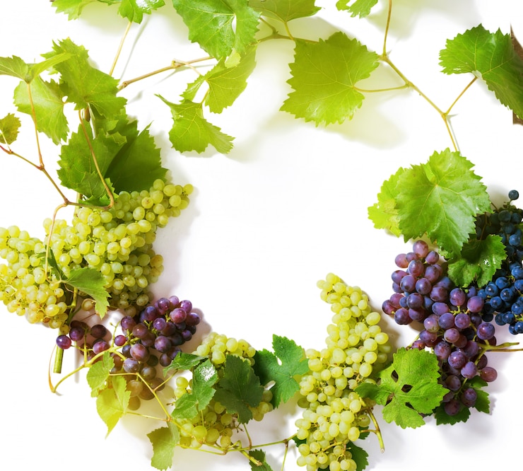 Foto ramas uvas verdes y azules aisladas en blanco
