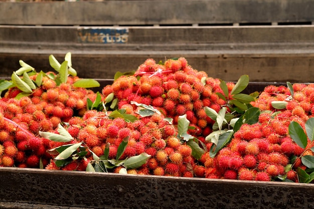 Rambutan à venda no mercado, fechar