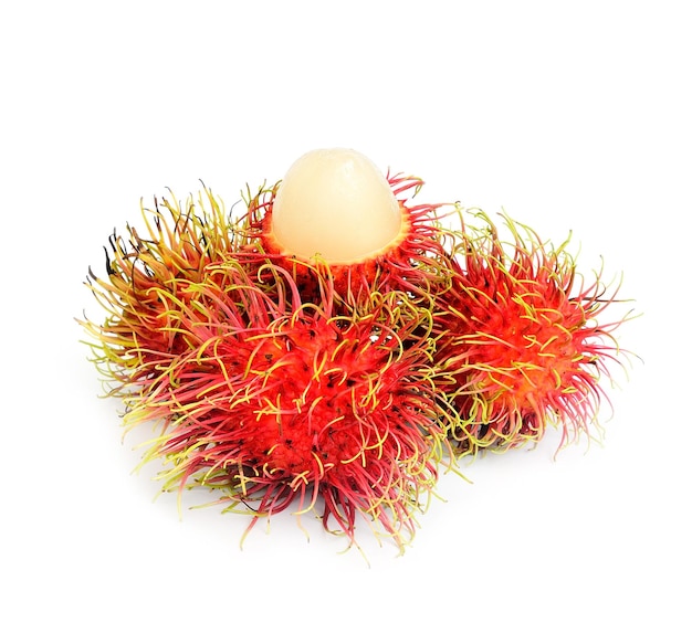 Rambutan de frutas tropicais com fundo branco