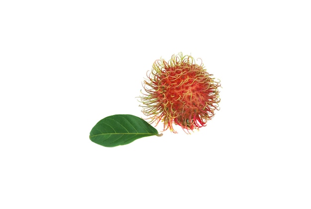 rambutan isolado em fundo branco