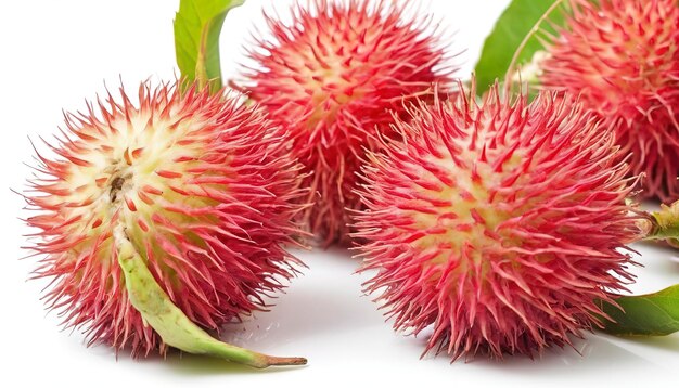 Rambutan isoliert über Weiß