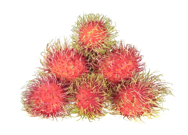 Rambutan isoliert