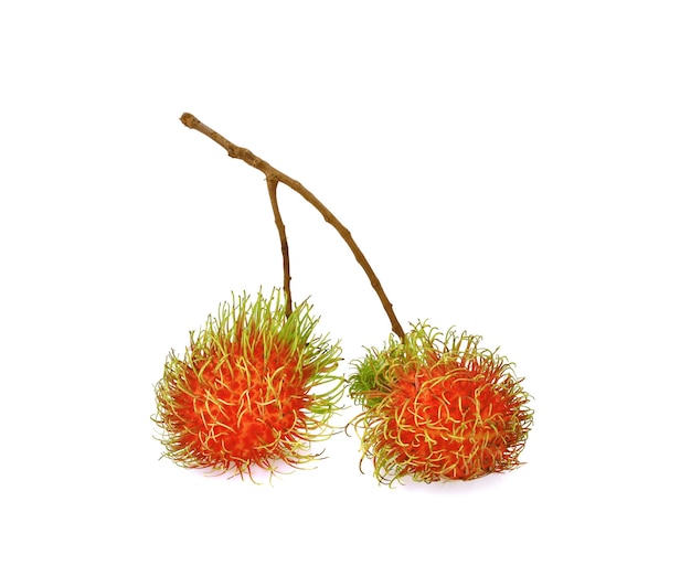 Rambután