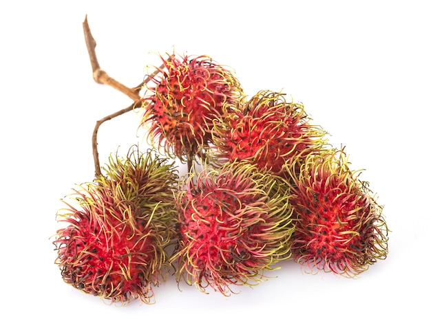 Rambután