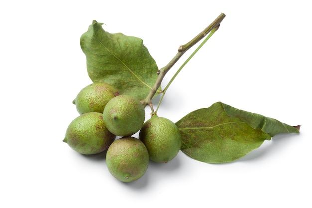 Ramita con fruta fresca de quenepa y hojas aisladas sobre fondo blanco de cerca