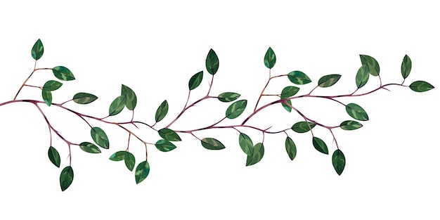 Foto una ramita de hojas de primavera pintadas a mano en acuarela aislado sobre un fondo blanco.