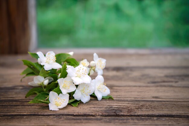 Una ramita de jazmín con flores blancas y hojas verdes sobre una mesa de madera, espacio de copia