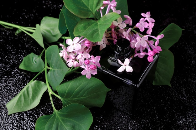 Una ramita de lilas con flores y hojas con una botella de eau de toilette.