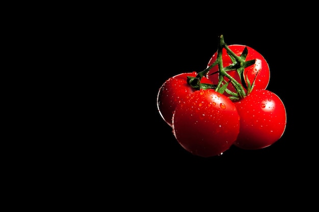 Ramita de tomates cherry sobre un fondo negro con gotas de agua