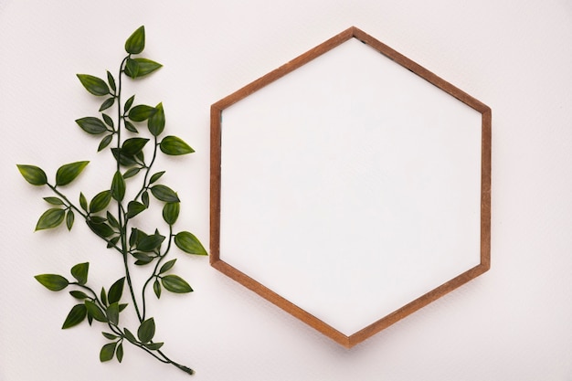 Ramita verde con hojas cerca del marco de madera hexagonal sobre fondo blanco.
