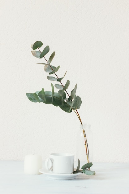 Ramitas de eucalipto y una taza de café en una mesa de madera blanca