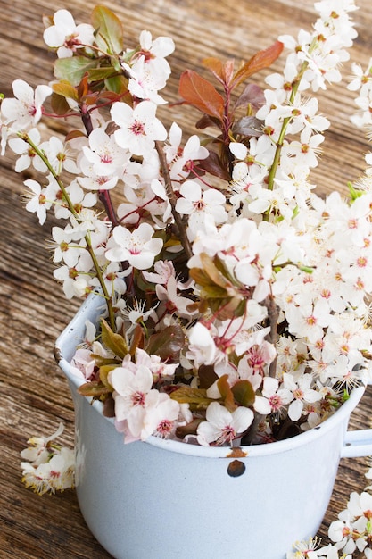 Ramitas con flores de cerezo