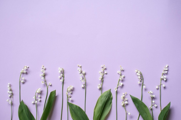 Ramitas de flores de lirio de los valles yacen sobre un fondo lila