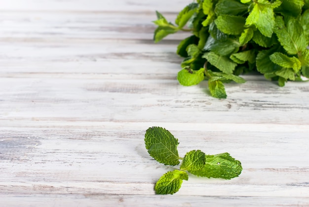 Ramitas de menta frescas y orgánicas en la mesa de madera.