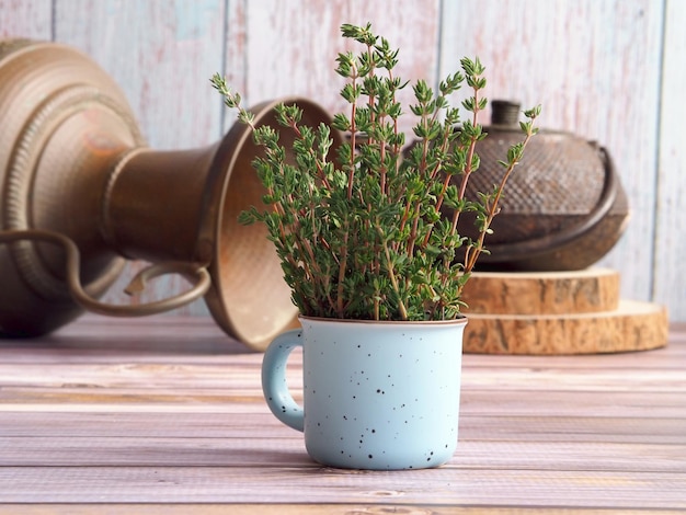 Ramitas de tomillo verde en una pequeña taza de cerámica y utensilios de cobre