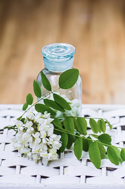 Ramo de acacia de flores blancas cerca de la botella de medicina Colección de hierbas en temporada