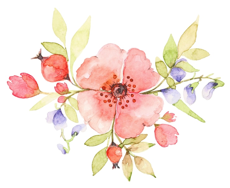 Foto ramo de acuarela de flores silvestres. flor de perro rosa rosa con bayas. composición de primavera botánica